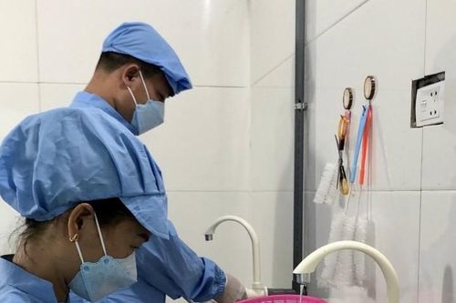 Hợp tác xã bảo tồn 'Vị xưa' - Vị cà cuống