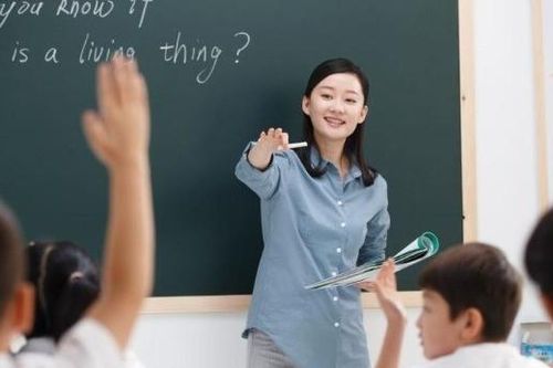 Giáo viên phàn nàn: 'Dạy học là việc phụ, nhiệm vụ ngoài chuyên môn chiếm 70%'