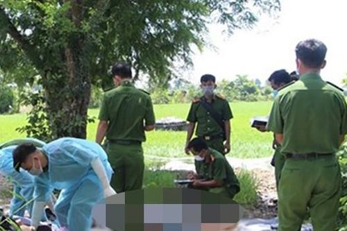 Phát hiện người đàn ông chết trong vườn cam ở Vĩnh Long