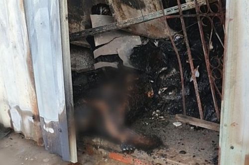 Lao vào dập lửa, một tài xế ngân hàng té ngã vào đám cháy tử vong
