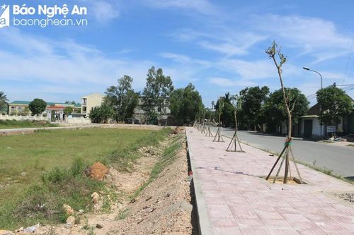 Thị trường đấu giá đất Nghệ An đang có tín hiệu ấm lên