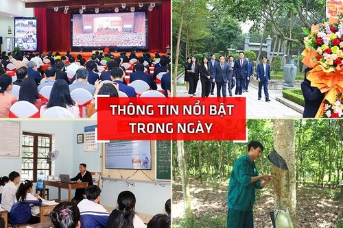Nghệ An: Thông tin nổi bật ngày 4/12