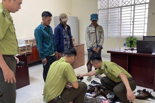 Bắt quả tang 3 đối tượng săn bắt động vật rừng quý hiếm ở Phú Quốc