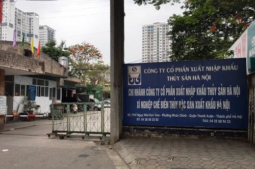 Một công ty thủy sản ở Hà Nội bị xử phạt thuế hơn 1,4 tỷ đồng