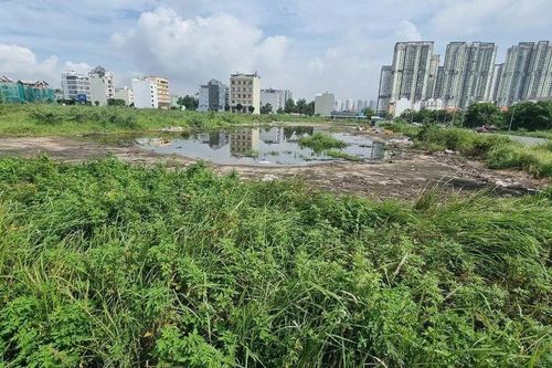 TPHCM: Công bố danh sách loạt doanh nghiệp bất động sản nợ thuế