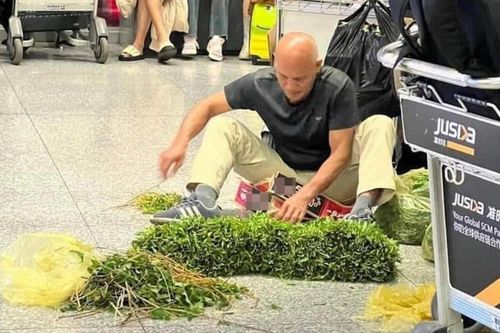 Bức ảnh khách tây vô tư ngồi nhặt rau ở sảnh sân bay Nội Bài gây xôn xao mạng xã hội