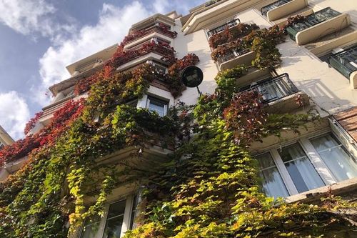 Paris xanh lá quanh nhà
