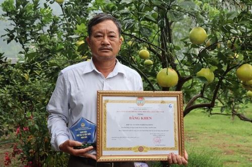 Về nơi đầu tiên ở Hòa Bình xuất khẩu bưởi Diễn sang trời Âu