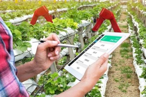 Cơ hội hợp tác, đầu tư trong lĩnh vực nông nghiệp thông minh