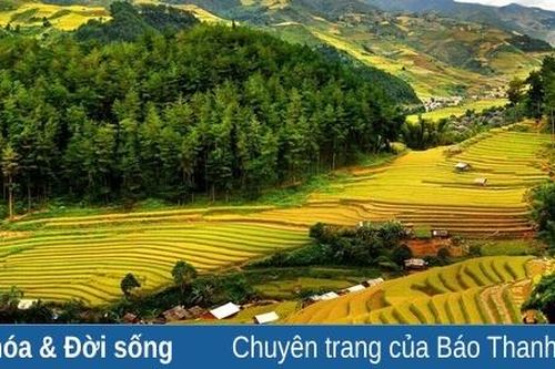 Sự kiện văn hóa – thể thao – giải trí ngày 4-12-2023