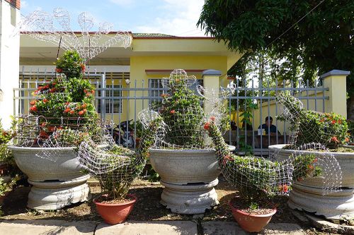 Nghề trồng bông trang