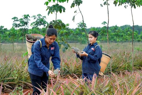 Hội nhập kinh tế quốc tế, thúc đẩy kinh tế phát triển nhanh và bền vững