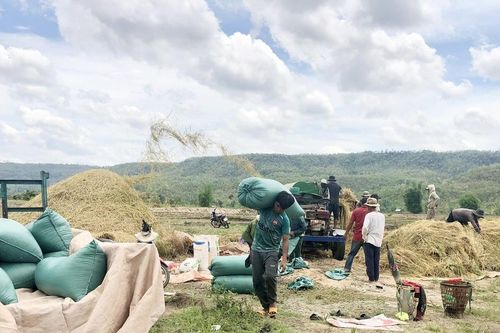 Chư Sê chủ động phòng tránh hạn vụ Đông Xuân