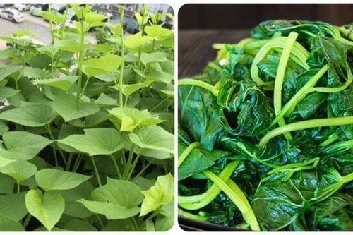 Loại rau dân dã bán đầy chợ Việt chứa chất ngừa ung thư, tốt như thần dược