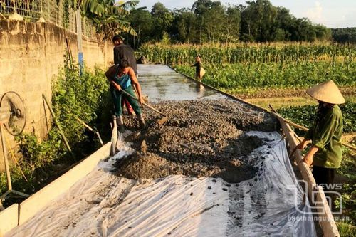 Phú Bình: Phân bổ 2.200 tấn xi măng làm đường giao thông