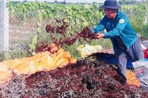 Giúp hội viên nông dân giảm nghèo bền vững