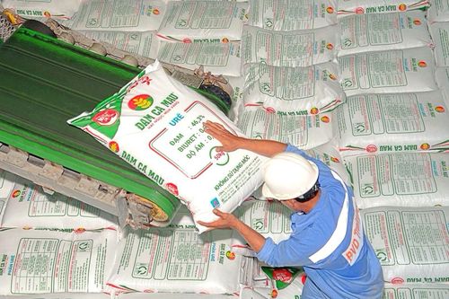 Nga tiếp tục hạn chế xuất khẩu phân bón, Đạm Cà Mau (DCM) có thể ghi nhận lãi đột biến