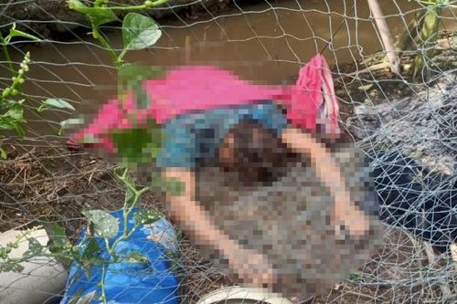 Chủ vườn chết bất thường tại chòi giữ cam