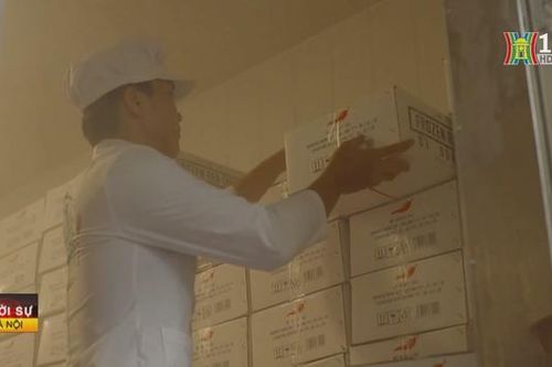 Sản xuất xanh để mở rộng xuất khẩu
