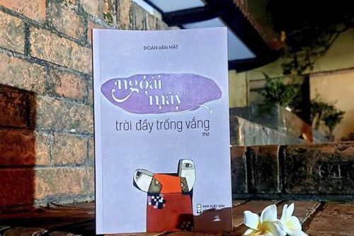 Sinh ra từ trắc ẩn