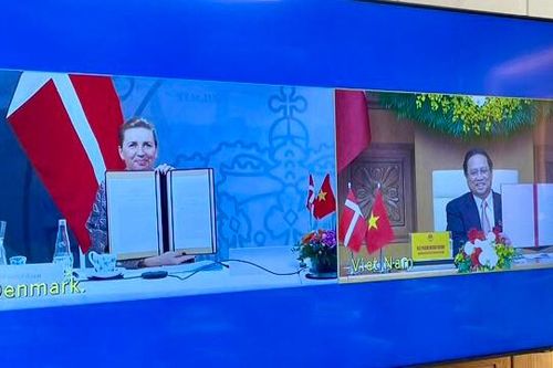 Việt Nam, Đan Mạch và những gặt hái hứa hẹn từ COP 28