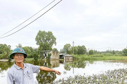 Quảng Bình: Nhiều diện tích rau, hoa bị ngập úng