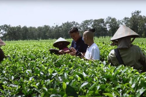 Biển Hồ Chè, điểm tham quan độc đáo và thú vị ở Gia Lai