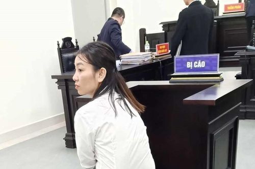 Giới thiệu là cháu lãnh đạo cấp cao rồi lừa đảo, chiếm đoạt hơn 16 tỷ đồng