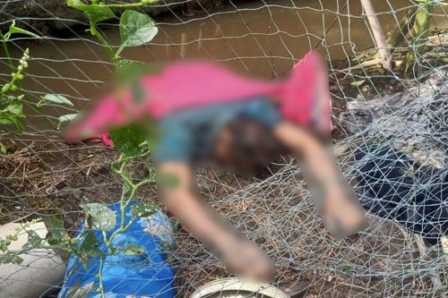 Phát hiện thi thể người đàn ông trong vườn cam