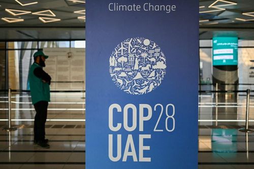 COP28: Các công ty sữa toàn cầu tham gia liên minh cắt giảm khí metan