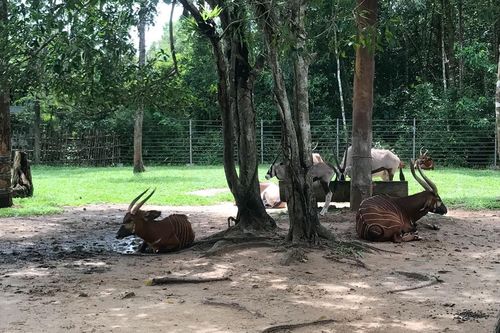 Bình Định: 5 giải pháp trong phòng chống tội phạm về đa dạng sinh học