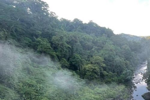 Cát Tiên nỗ lực bảo vệ động vật hoang dã, thực vật quý