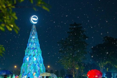Lần đầu tiên hàng nghìn cư dân, du khách check in khu rừng pha lê, đón Noel sớm ở Nghệ An