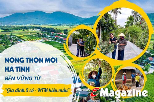 Nông thôn mới Hà Tĩnh bền vững từ 'Gia đình 5 có - NTM kiểu mẫu'