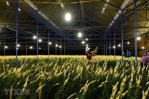Lâm Đồng: Chấm dứt Quy chế tạm thời về kinh doanh du lịch canh nông