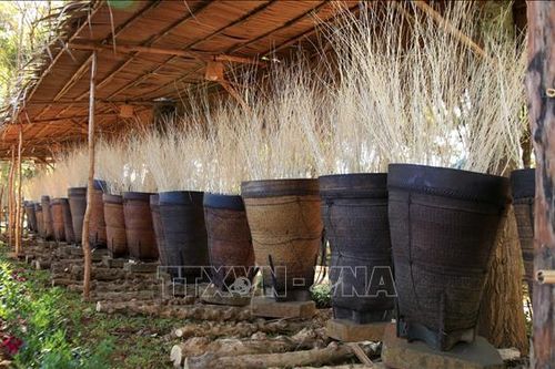 Khai mạc Không gian trưng bày, triển lãm ngoài trời 'Thiên đường Tây Nguyên - Gia Lai'