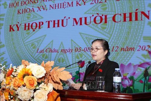 Bãi nhiệm, miễn nhiệm, bầu bổ sung Ủy viên UBND tỉnh Lai Châu