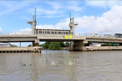Ứng phó với hạn hán, thiếu nước, xâm nhập mặn mùa khô 2023 - 2024