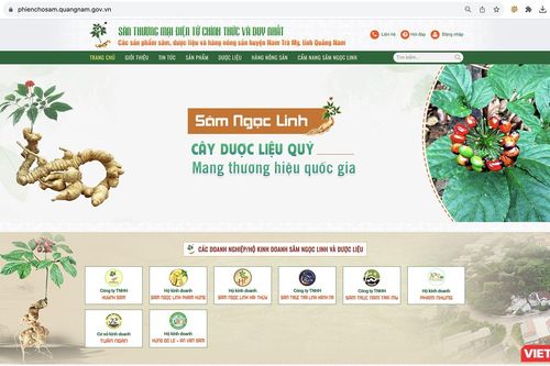 Đến năm 2030, Việt Nam sẽ hoàn thiện Cổng thông tin truy xuất nguồn gốc hàng hóa, dược liệu Quốc gia