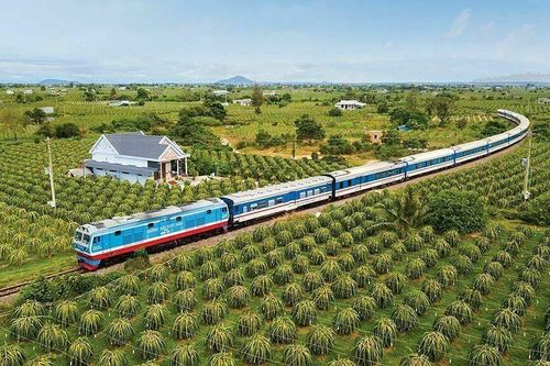 Khám phá Sài Gòn - Phan Thiết: Hành trình trải nghiệm du lịch độc đáo cùng Traveloka