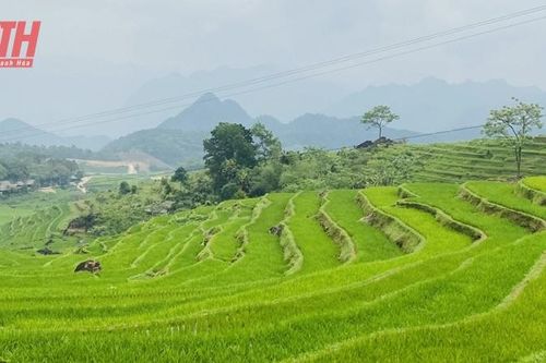 Định mức đất sản xuất nông nghiệp của hộ gia đình tại các xã, thị trấn của 11 huyện miền núi và huyện, thị xã có xã, thị trấn, thôn thuộc vùng dân tộc thiểu số và miền núi