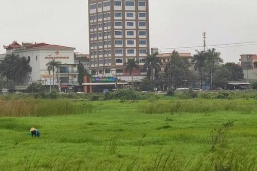 Thanh Hóa hủy kết quả lựa chọn nhà đầu tư nhiều dự án bất động sản?