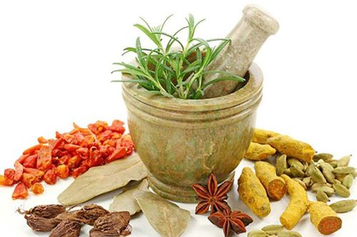 An Giang đấu thầu qua mạng 197 mặt hàng thuốc dược liệu, cổ truyền trị giá trên 142,7 tỷ đồng