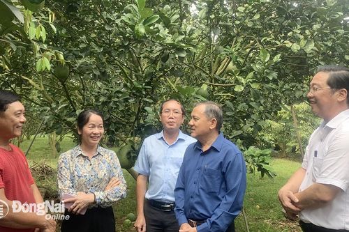 Toàn tỉnh có 197 sản phẩm OCOP