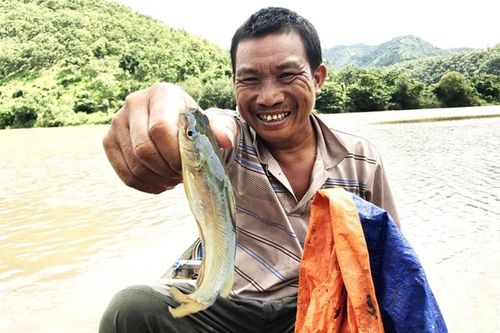 Cá chốt sông Ba