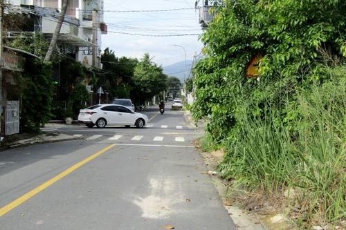 Biển báo giao thông bị cây xanh che khuất