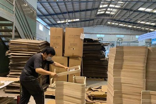 Phát huy giá trị đa dụng của rừng là một xu thế tất yếu