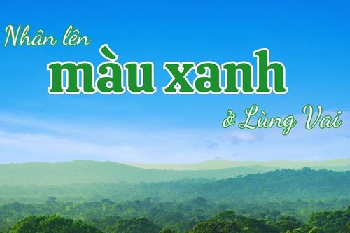 Nhân lên màu xanh ở Lùng Vai