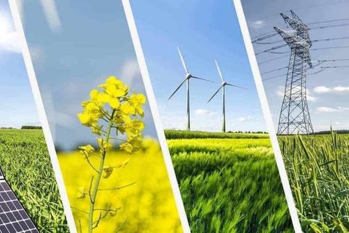 Deloitte: Cải thiện cơ cấu vốn có thể tiết giảm 40% chi phí cho giảm thải carbon