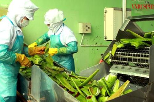 Doanh nghiệp nông nghiệp cần làm gì để hút 'vốn xanh'?